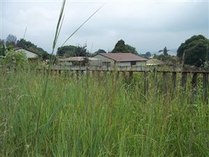 1115 m² Land available in Graskop