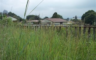 1115 m² Land available in Graskop