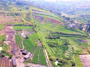 4.3 ha Land available in Tongaat Central