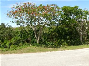812 m² Land available in Kleinemonde