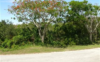 812 m² Land available in Kleinemonde