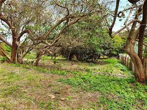954 m² Land available in Sheffield Beach