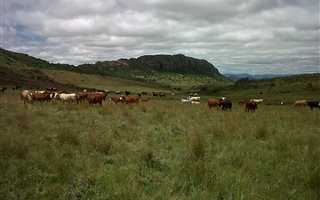 593 ha Farm in Queenstown