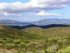 75 ha Farm in Robertson