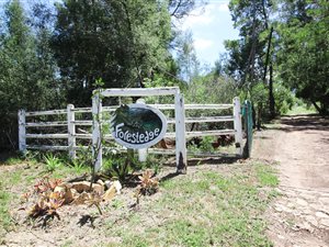 8.6 ha Farm in Simola