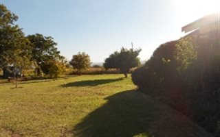 4 Bedroom House in Laezonia