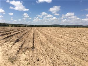 525 m² Farm in Alma