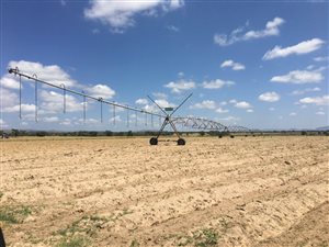 525 ha Farm in Alma