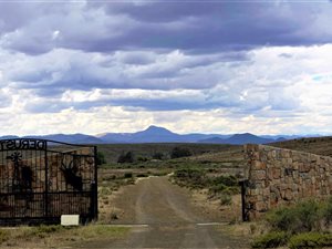 Game Farm in Graaff Reinet