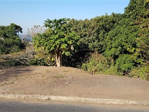 2842 m² Land available in Margate