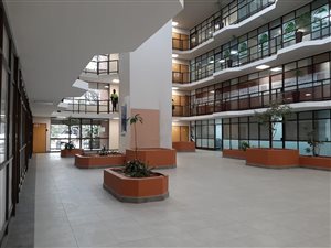 223 m² Commercial space in Randburg Central