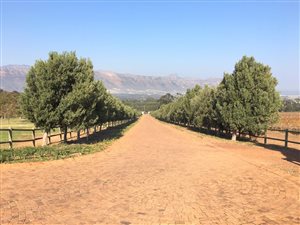 6000 m² Land available in Sir Lowrys Pass
