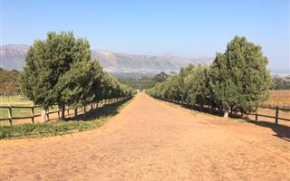 6000 m² Land available in Sir Lowrys Pass