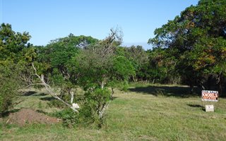 740 m² Land available in Cove Rock
