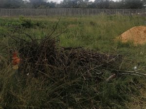 1032 m² Land available in Amandasig