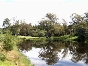 600 m² Land available in Wedgewood Golf Estate