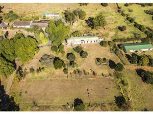 2.9 ha Smallholding in Howick