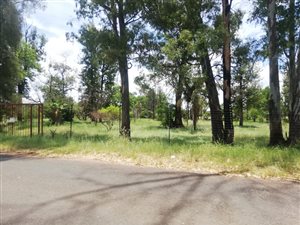 1 ha Farm in Bela-Bela (Warmbaths)
