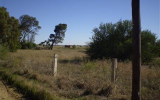 4.3 ha Land available in Roodewal and surrounds