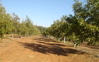 19 ha Farm in Hartswater