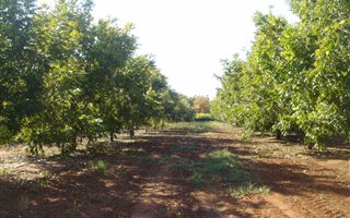 19 ha Farm in Hartswater