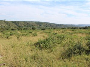 70 ha Farm in Kwelera
