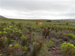 185 ha Farm in Malgas