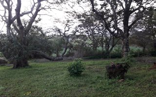 1001 m² Land available in Felixton