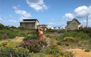 1328 m² Land available in Pringle Bay