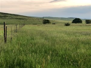 285 ha Farm in Bethlehem