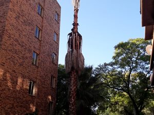 2 Bed Apartment in Sunnyside