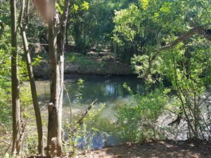 4.3 ha Farm in Mooiplaats AH