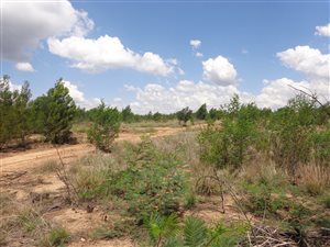 319 m² Land available in Mooikloof Country Residences