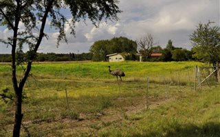 5.6 ha Land available in Roodewal and surrounds