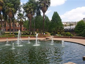 510 m² Office Space in Constantia Kloof