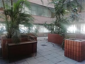 329 m² Retail Space in Arcadia