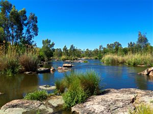 2.1 ha Farm in Parys
