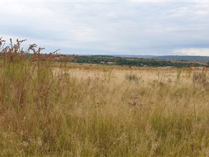 4.8 ha Land available in Mooiplaats AH
