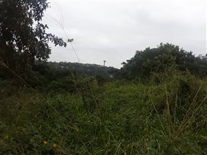 1981 m² Land available in Dawncliffe