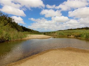 284 ha Farm in Mossel Bay Central