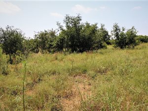 1205 m² Land available in Hazeldean (Silverlakes Surroundings)