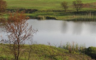 5 ha Farm in Rietfontein