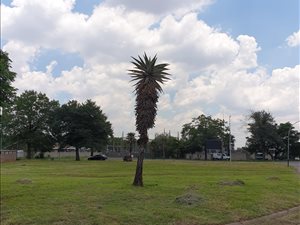 1739 m² Land available in Bedfordview