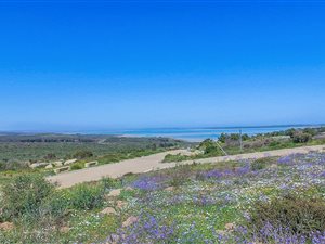 621 m² Land available in Langebaan