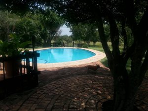 8.5 ha Smallholding in Grootvlei AH