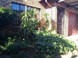 3 Bed House in Mineralia