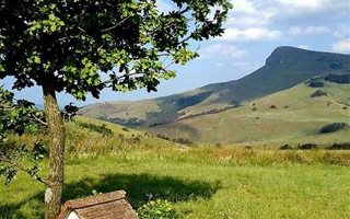 40 ha Farm in Dargle