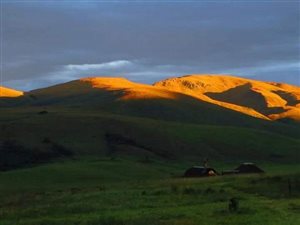 40 ha Farm in Dargle