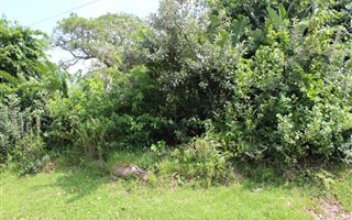 1043 m² Land available in Leisure Bay
