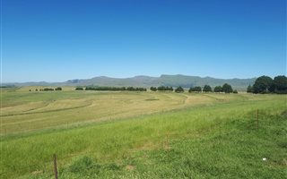 1294 ha Farm in Kokstad